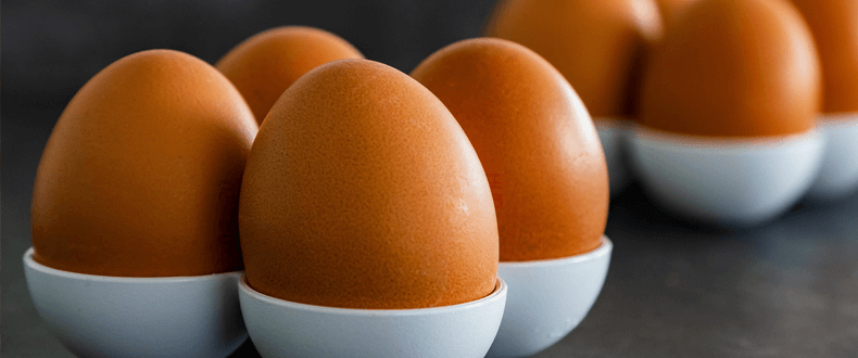 How much cholesterol do eggs have?